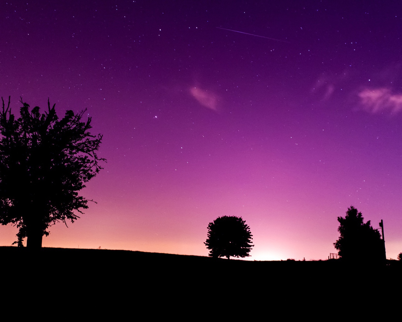 Розовая ночь