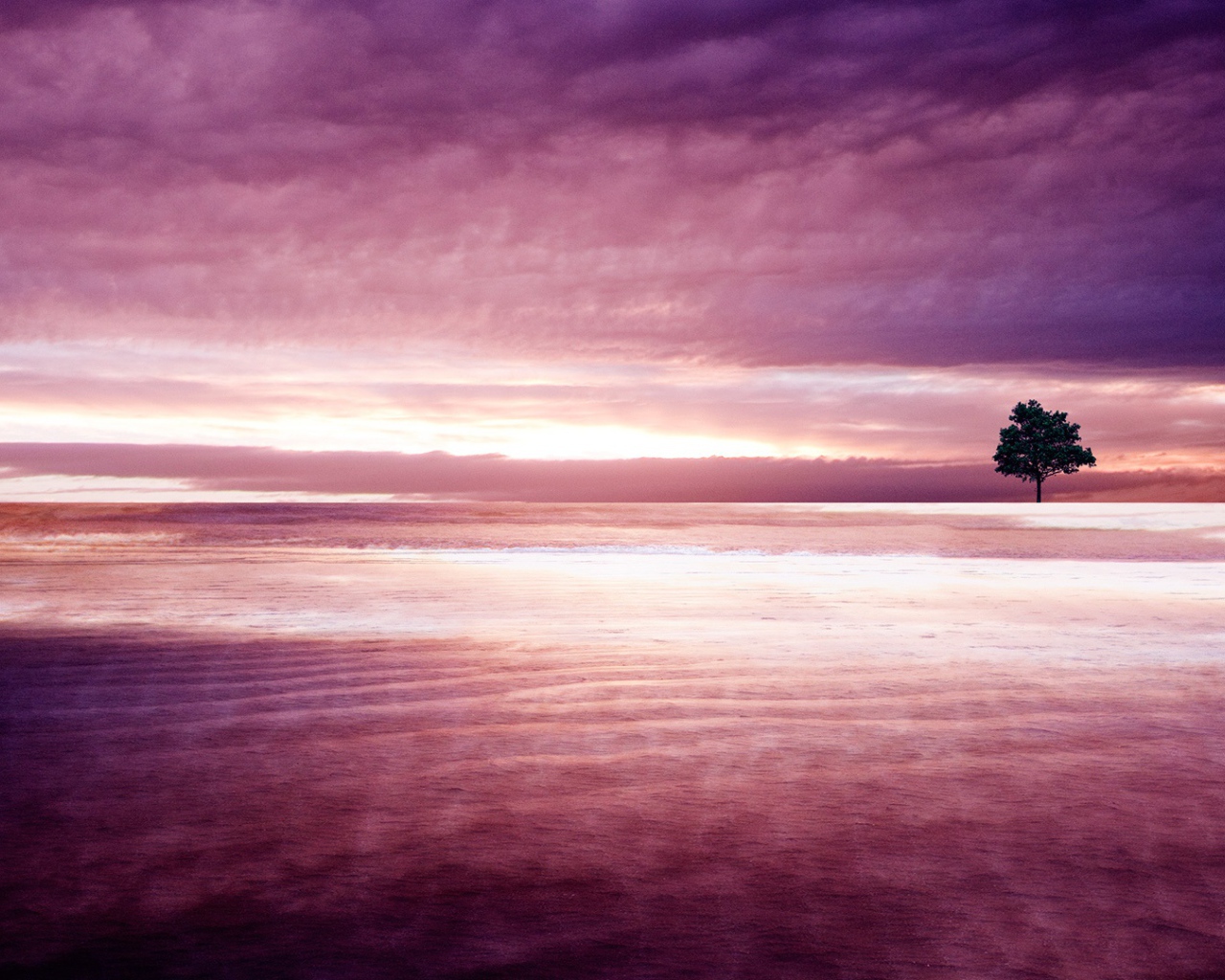 Фиолетовая природа 