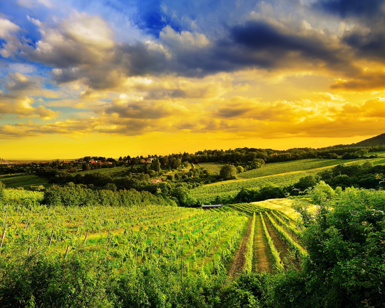 Pазработаная площадь полей