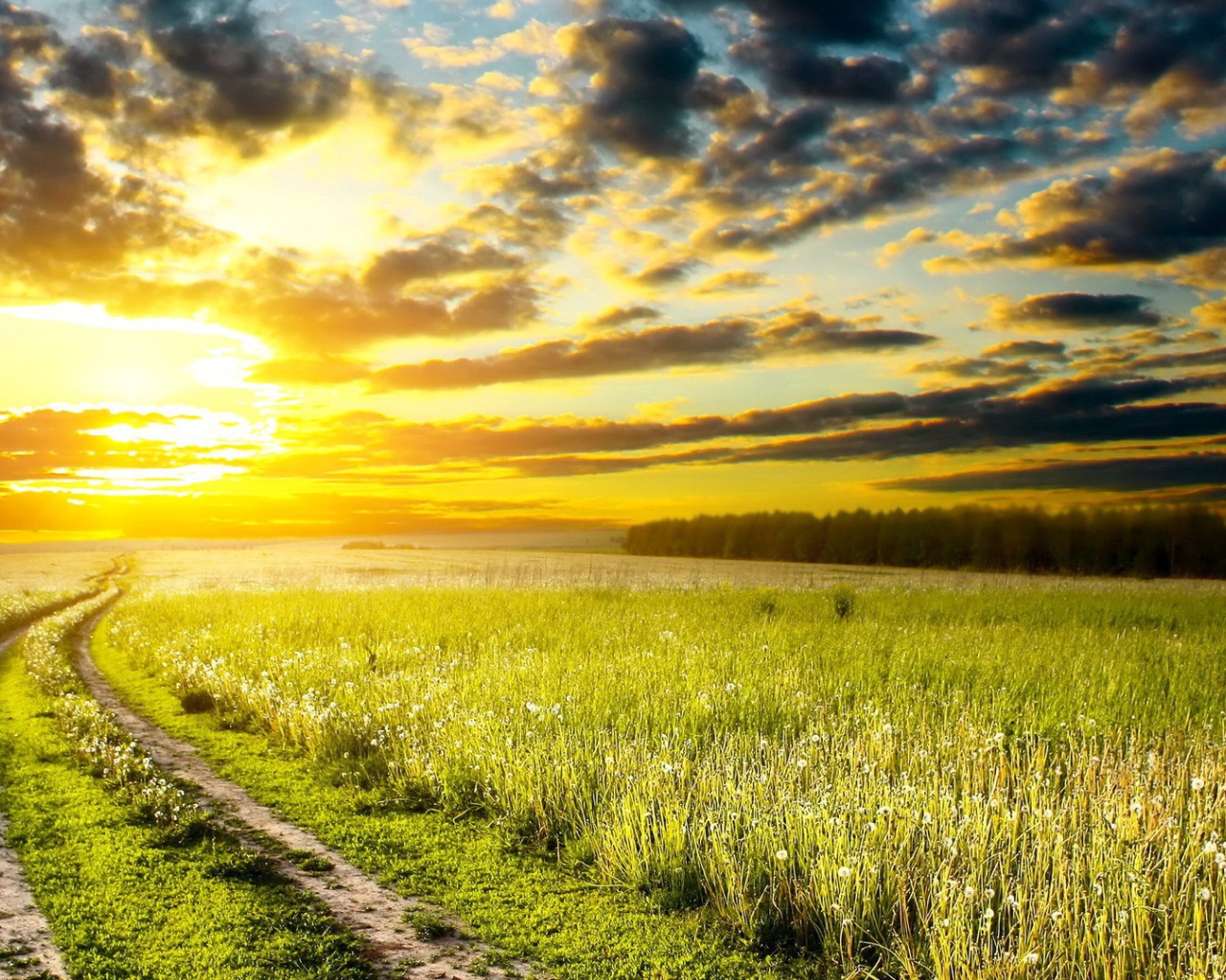 Дорога на закат