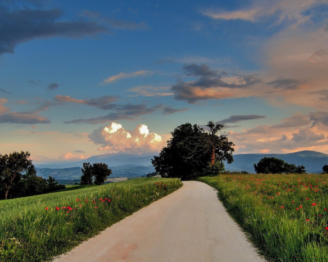 Дорога сельской местности