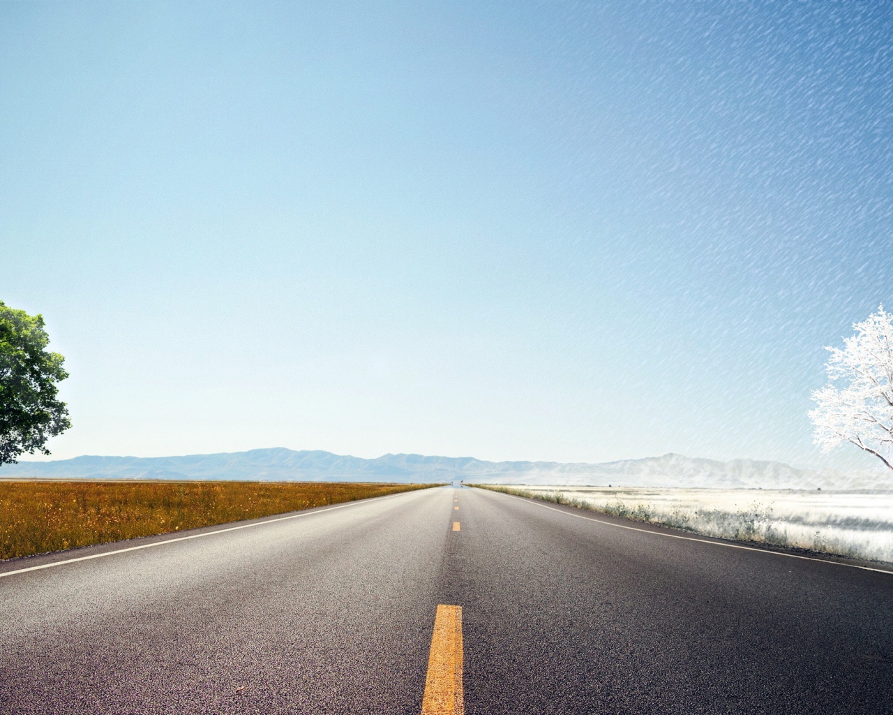 Лето и холод