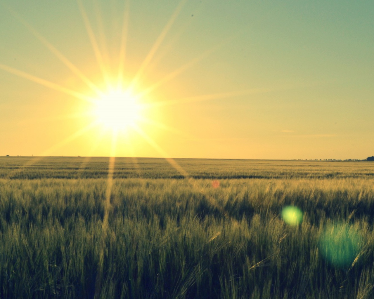 Закат в степи