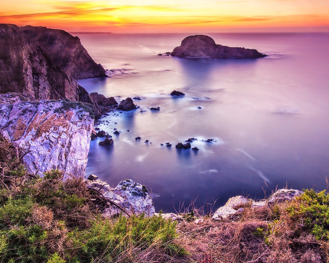 Розовая природа