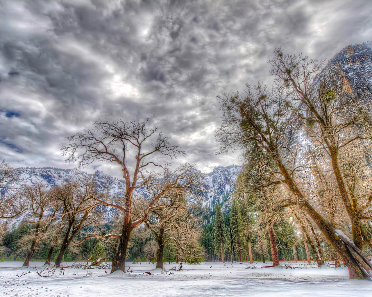 Зима в национальном парке