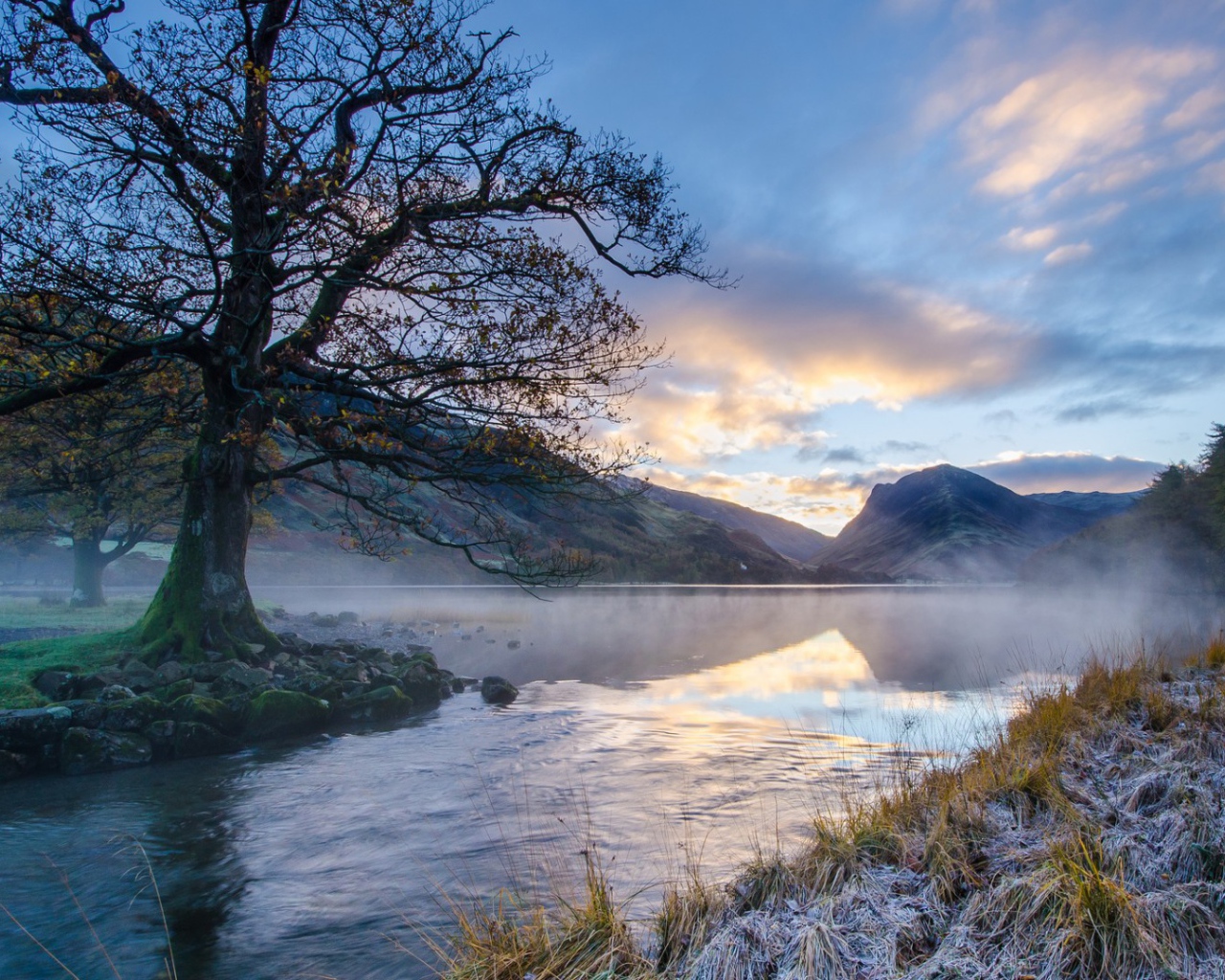 Ил на берегу