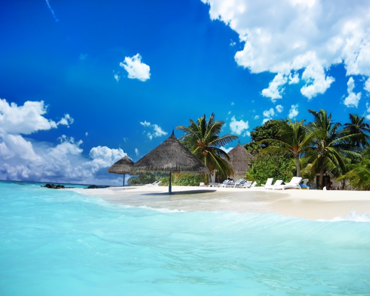 Жизнь пляжа