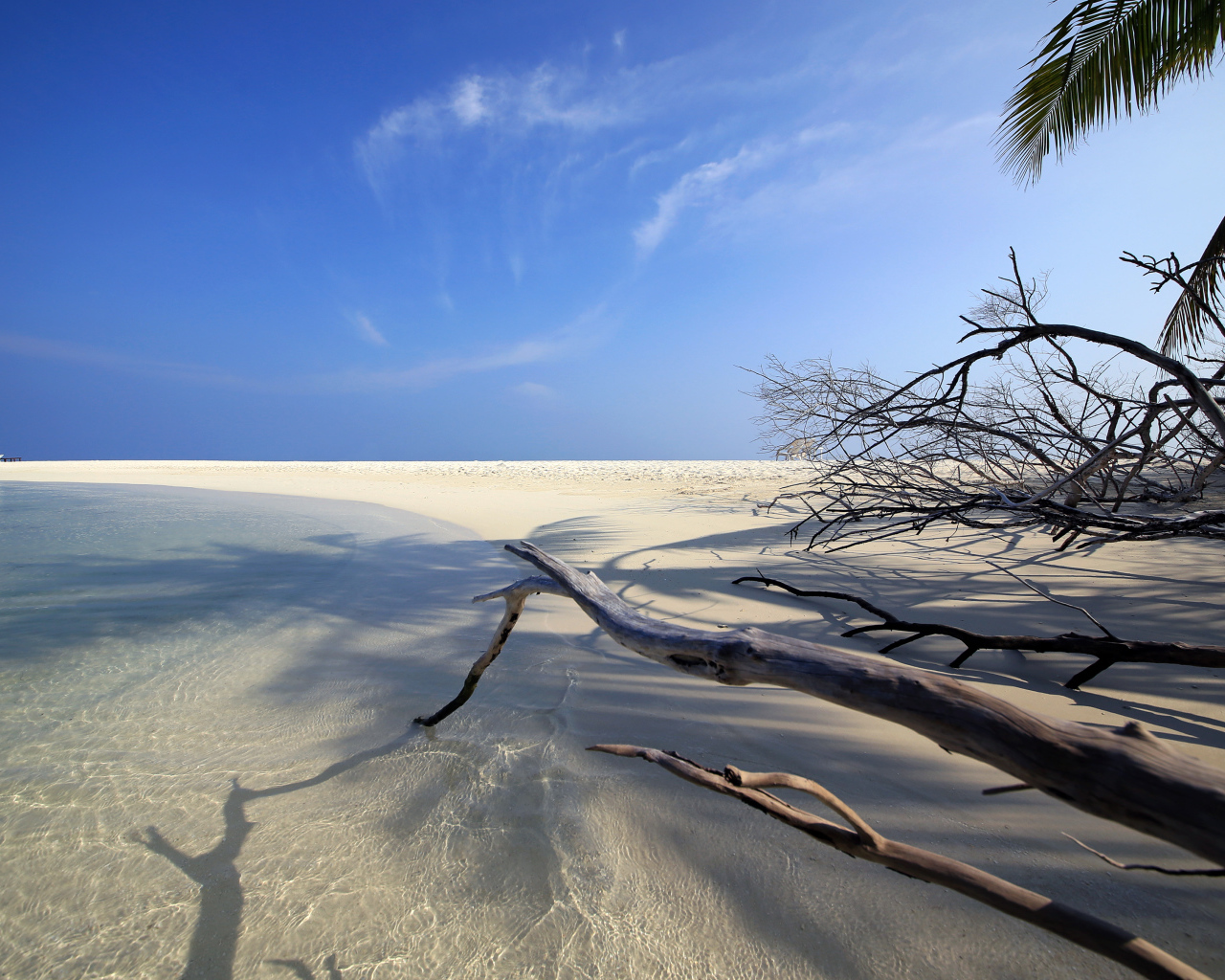 Красивый пляж под голубым небом