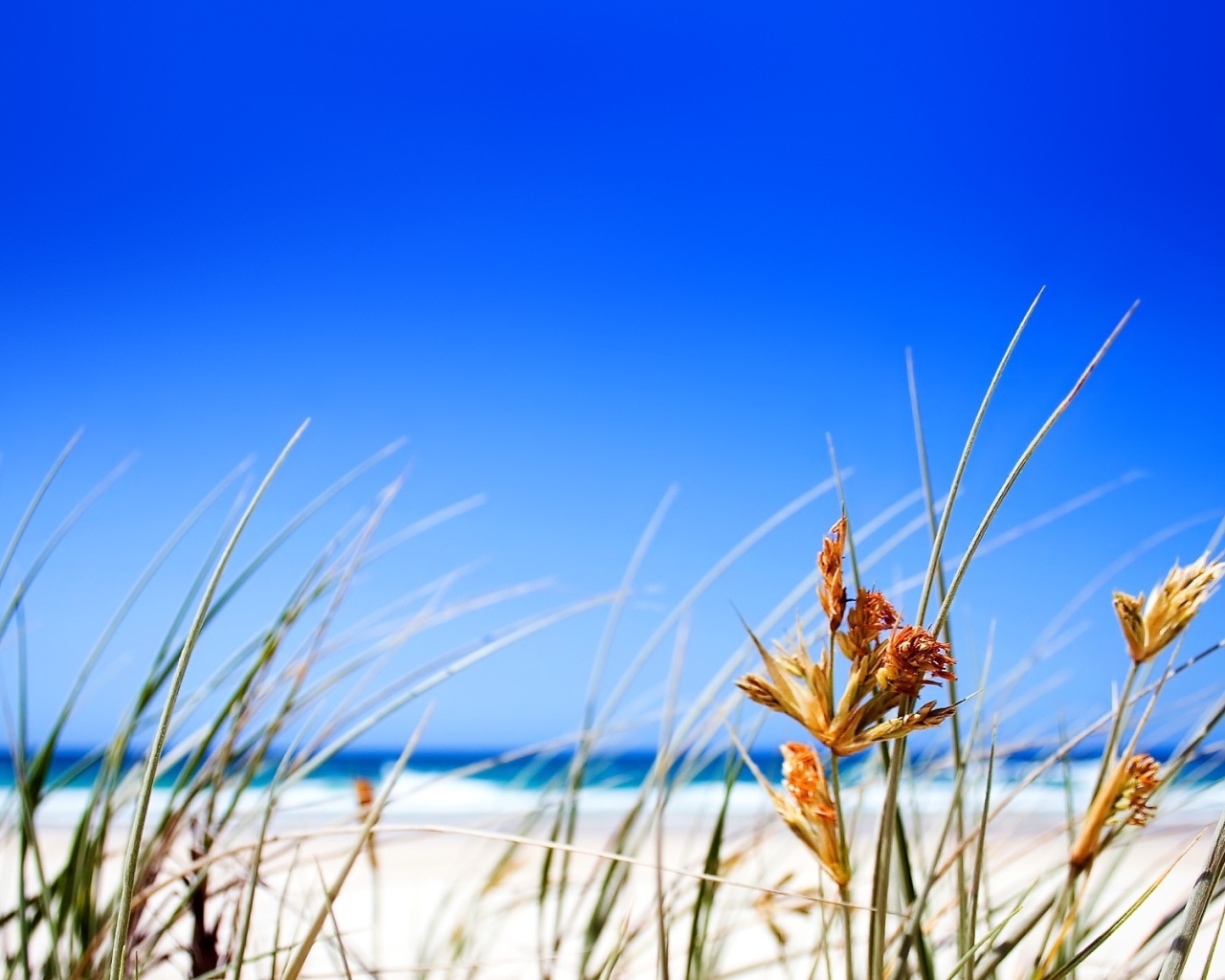 Чистое небо над пляжем