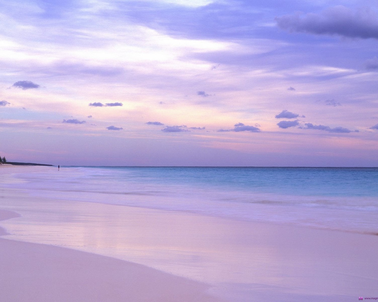 Розовый пляж на Багамах