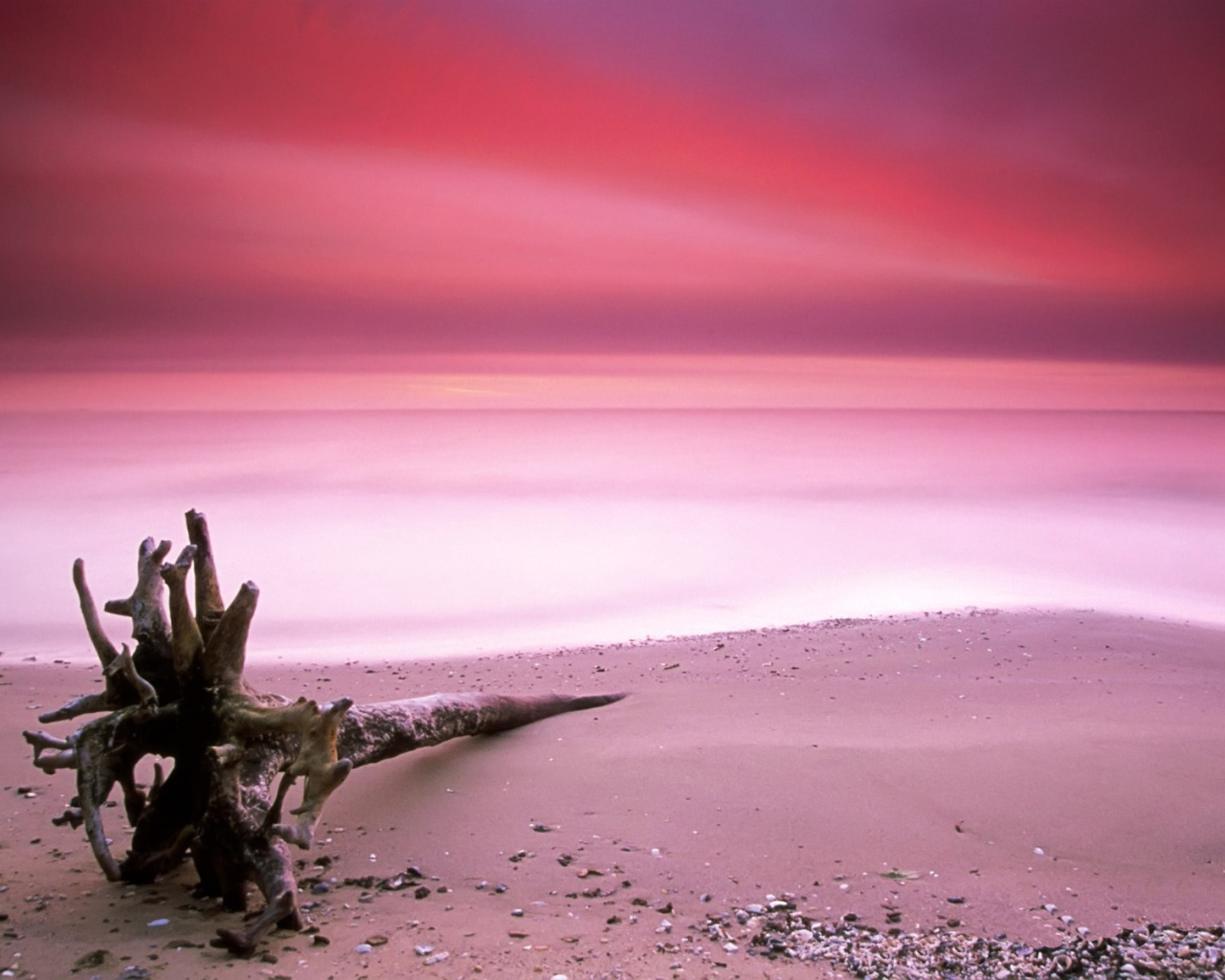 Пляж с розовым песком
