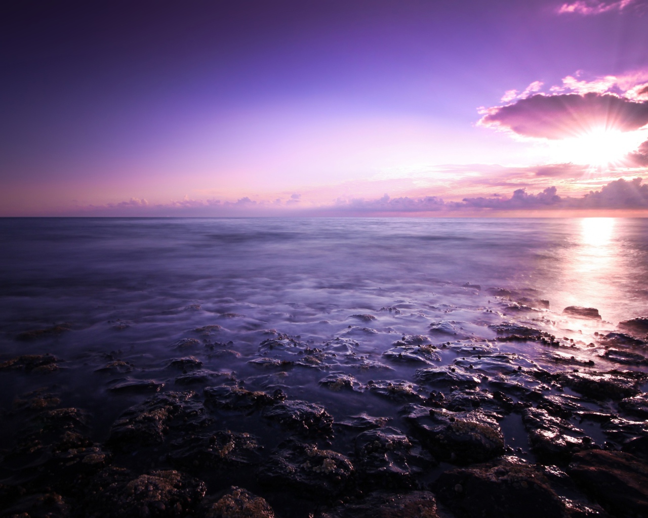 Фиолетовое небо