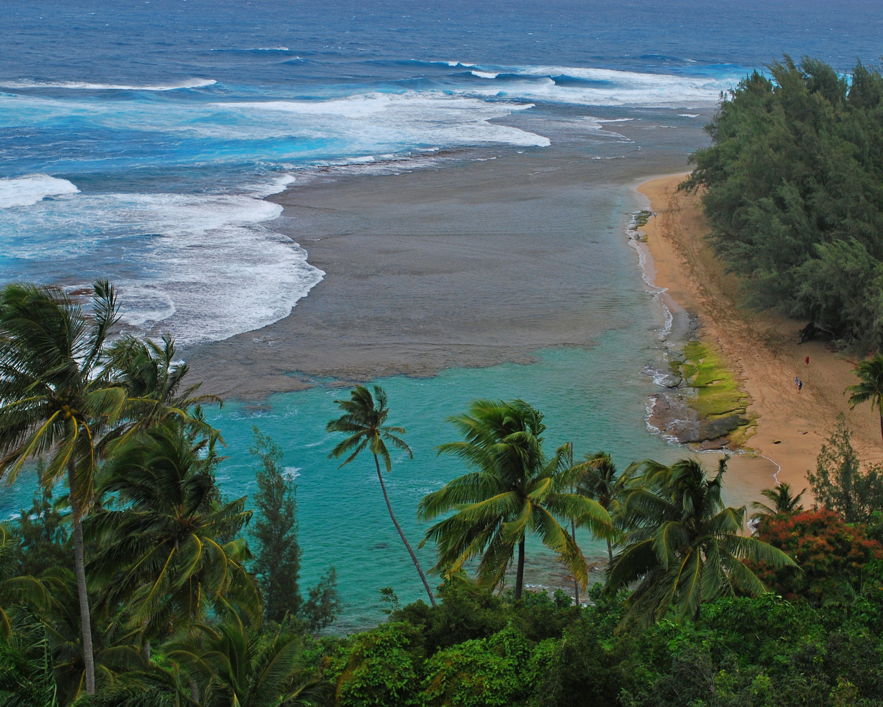 Дикий пляж у моря