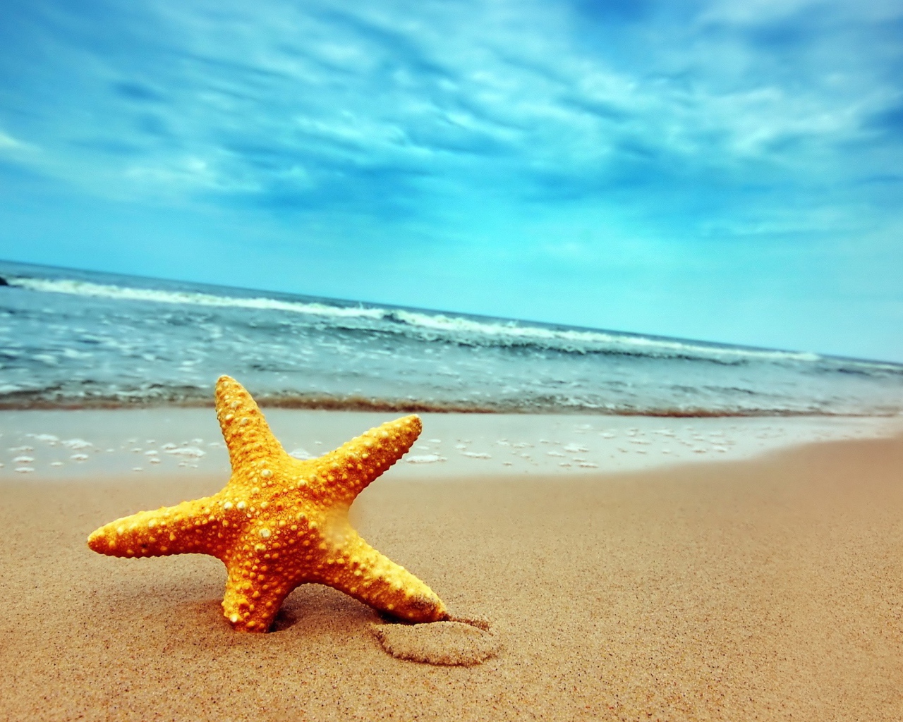 Морская звезда в песке пляжа