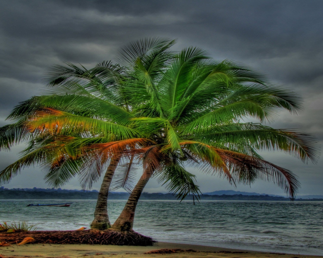 Два дерева на пляже