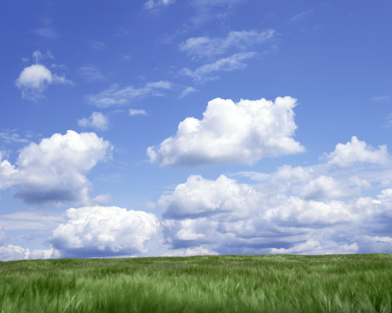 Облака над полем