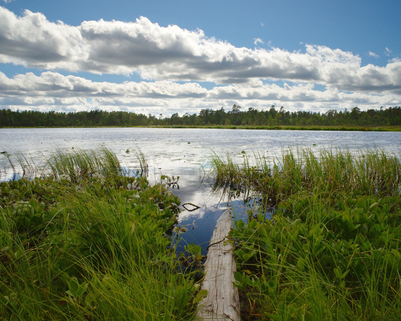 Облака над озером