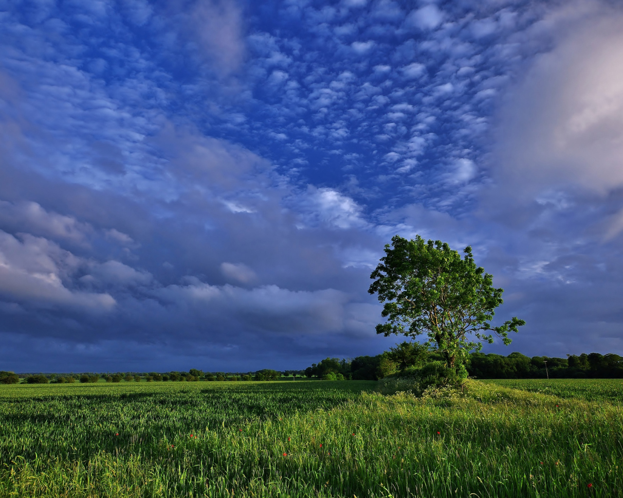 Облачное небо