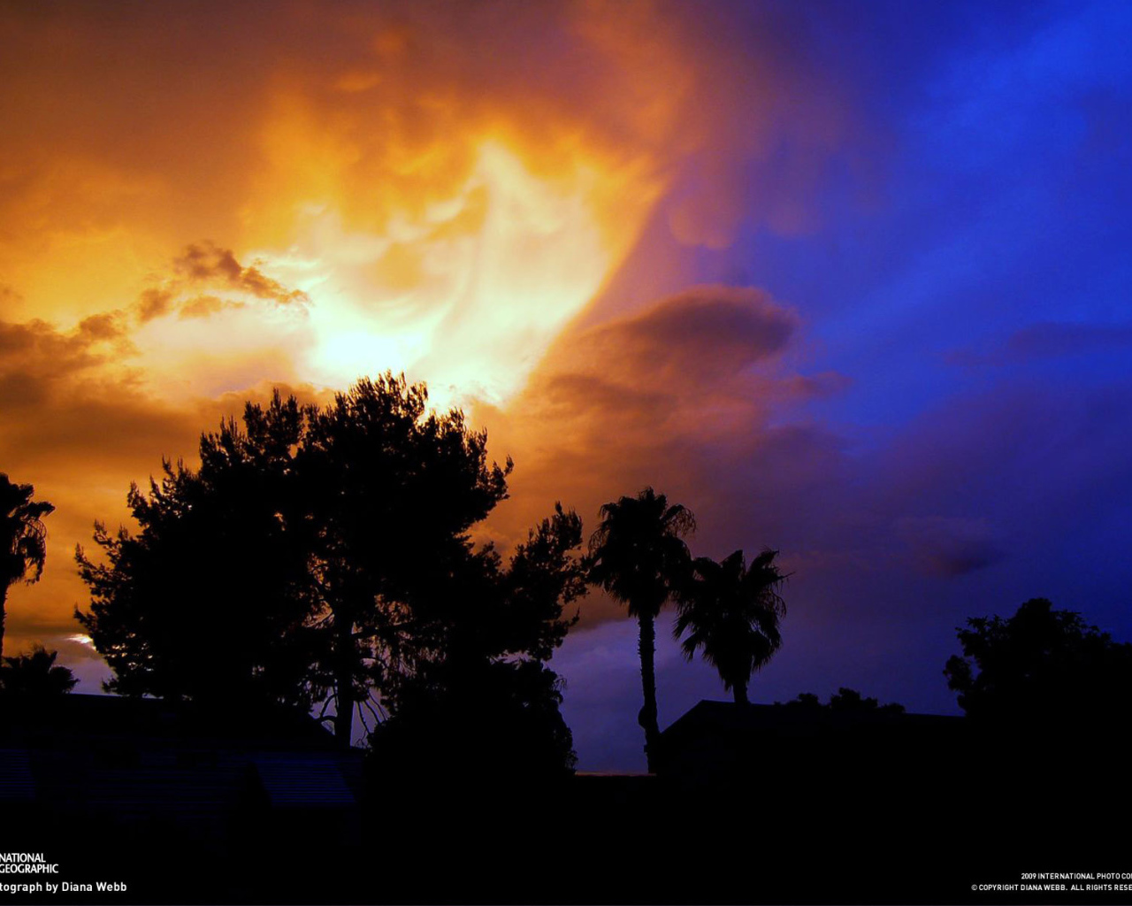 Светящиеся облака