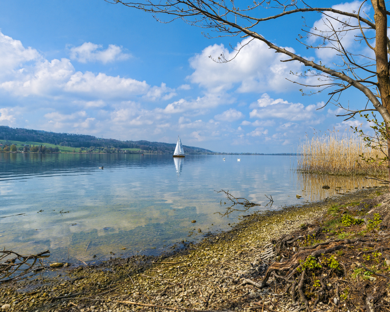 Редкие осенние облака