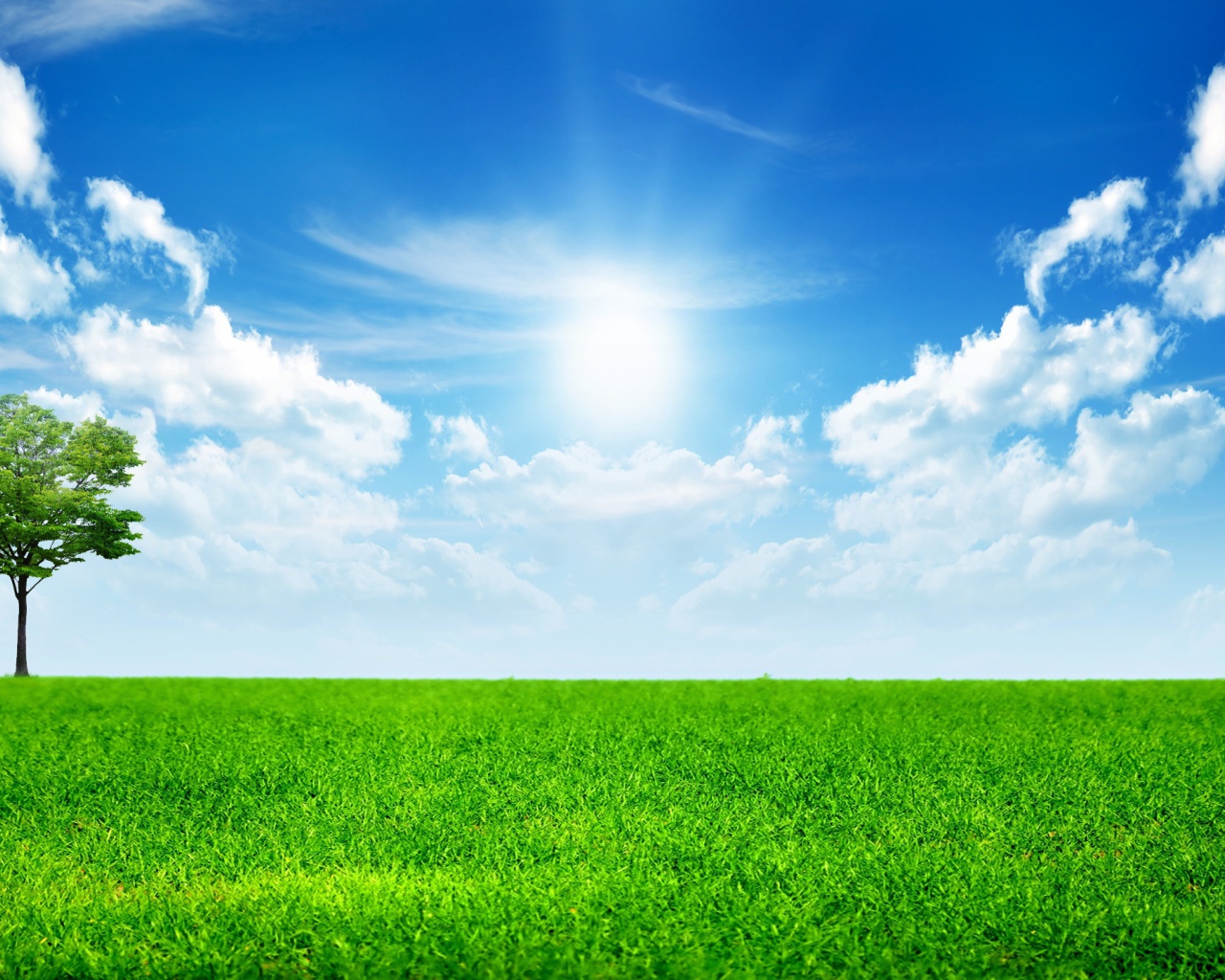 День солнечного света