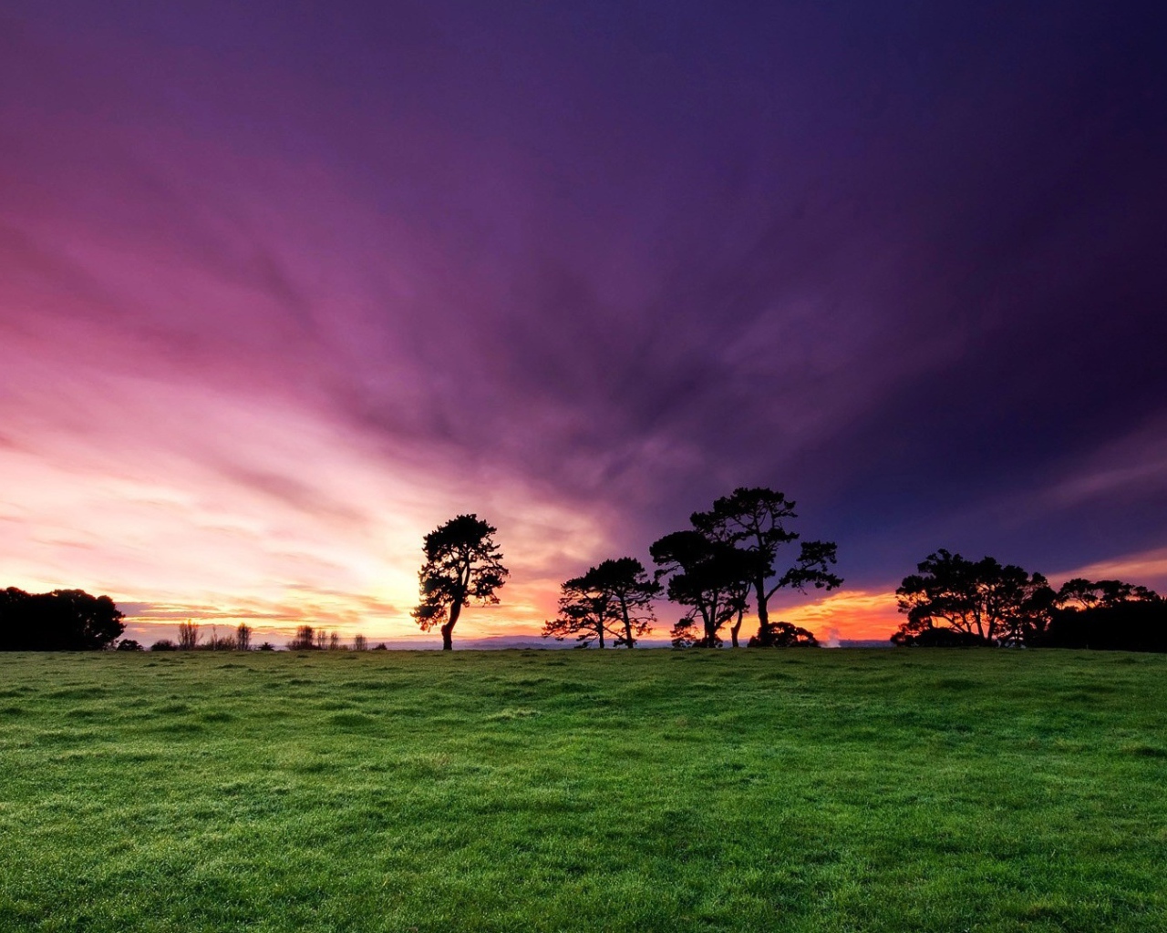 Утренние лучи солнца