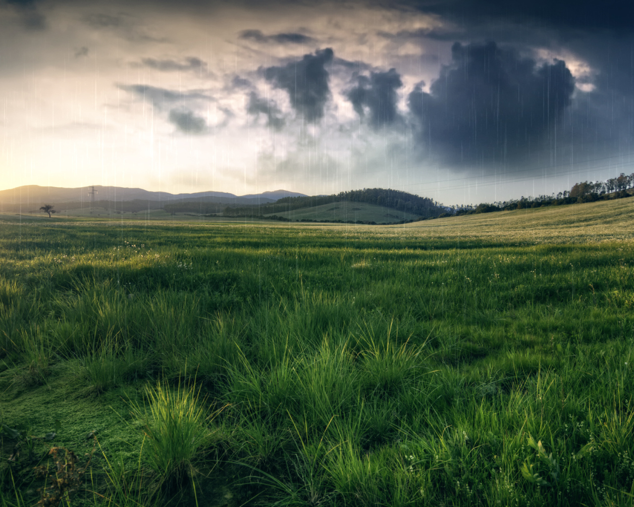 Черные тучи над полем