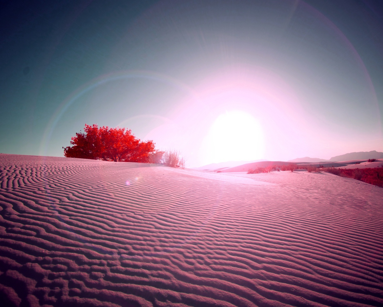 Вспышка в пустыне