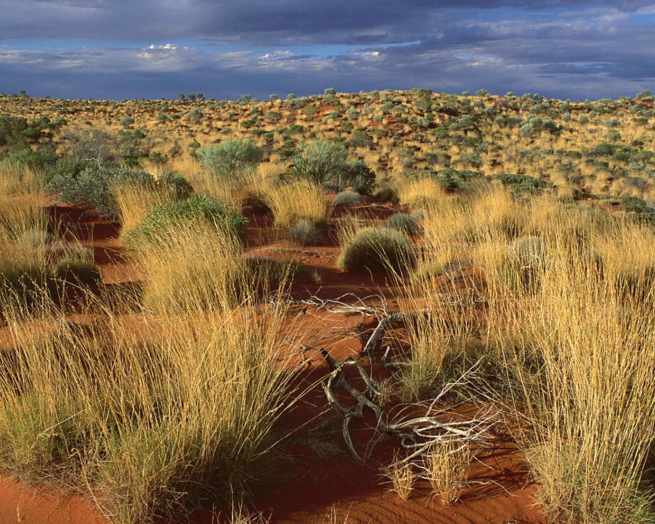 Пустыня в Австралии