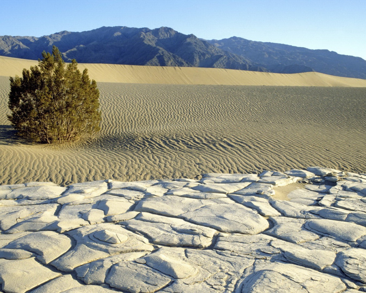 Пустынный пейзаж с горами