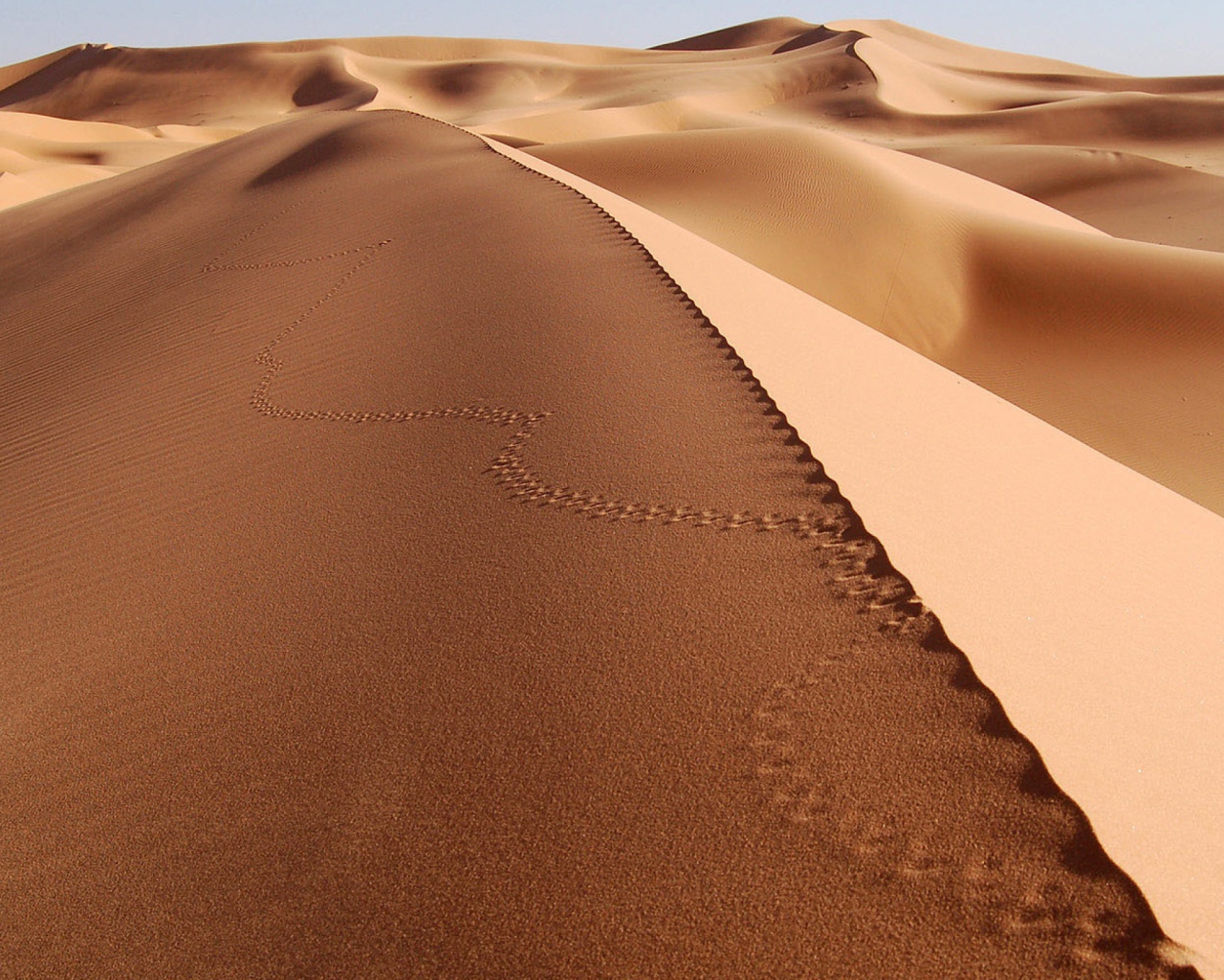 Следы на песке в пустыне
