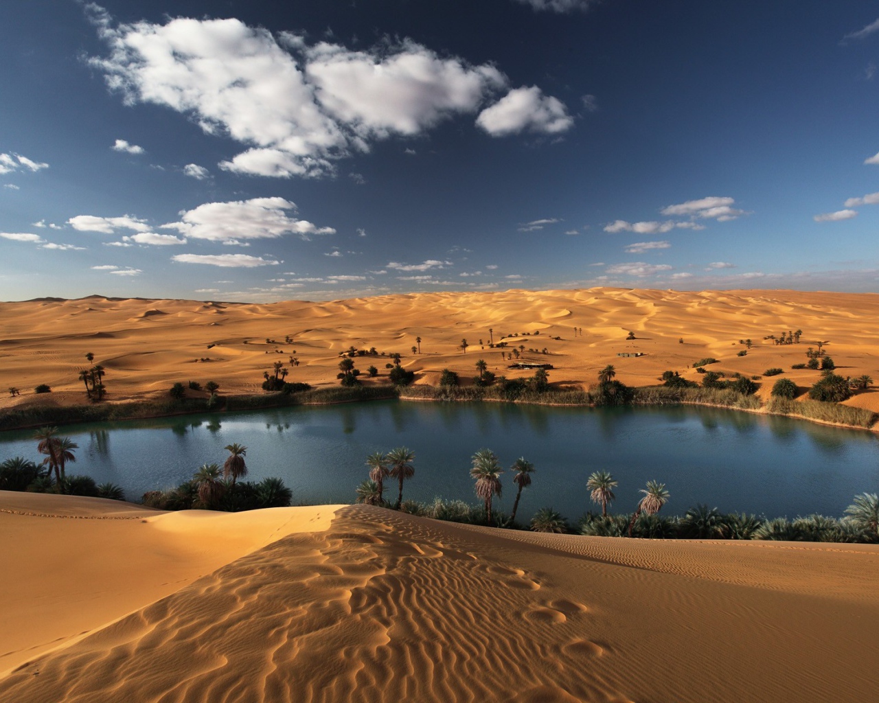 Оазис в пустыне Ливии