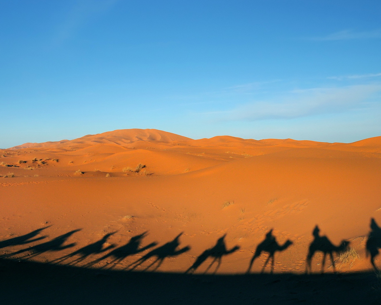 Тени каравана в пустыне