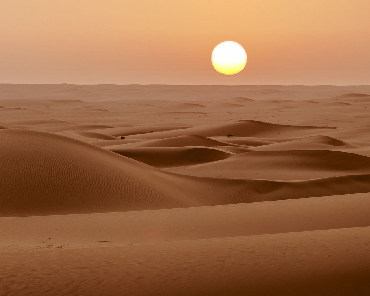 Солнце над пустыней