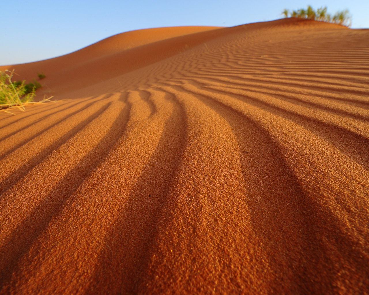 Волны на песке