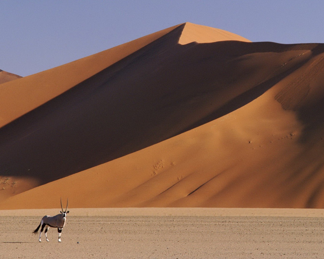 Пустыня Намибии