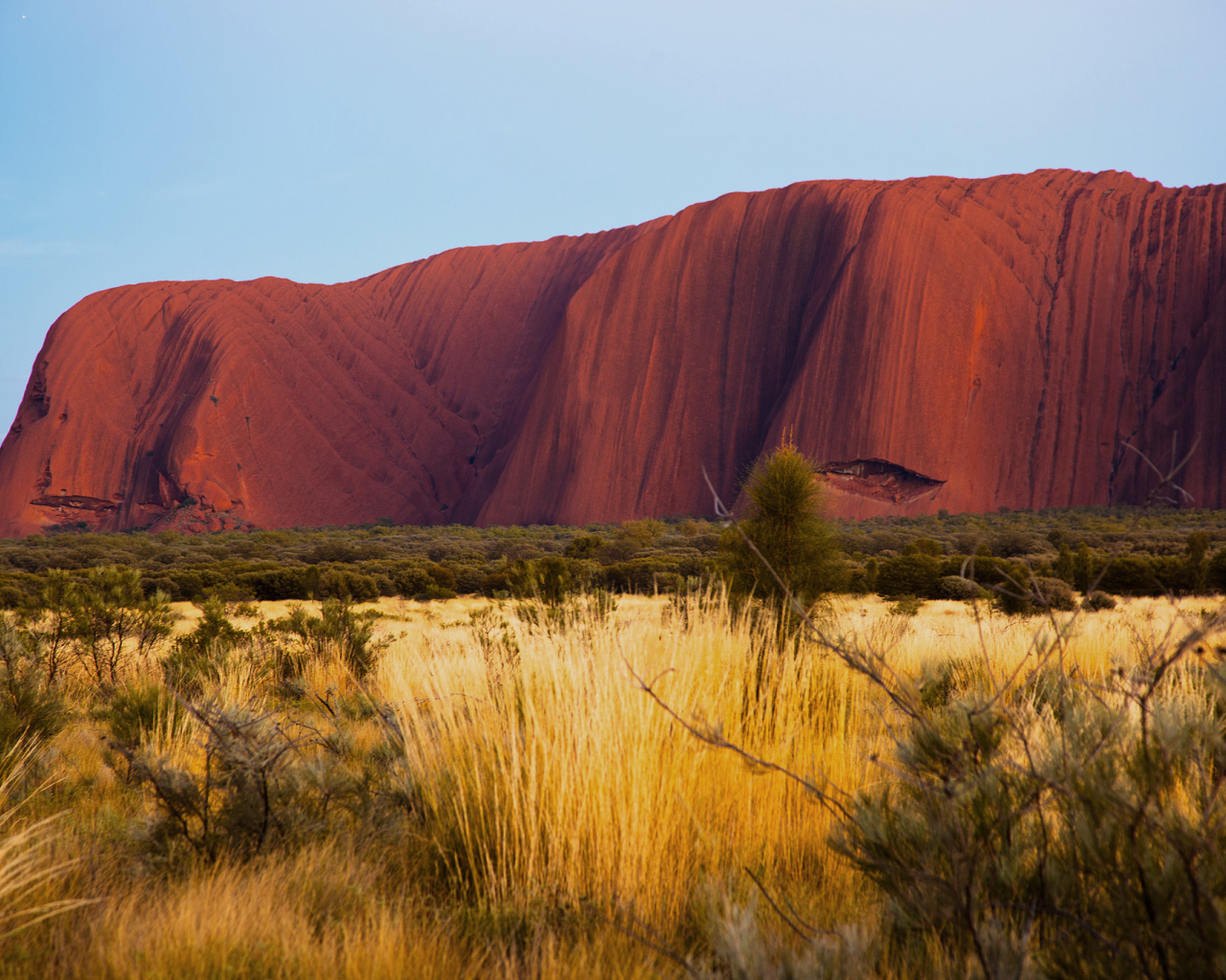 Пустыня в Австралии