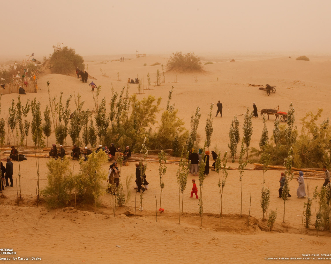 Жизнь в пустыне