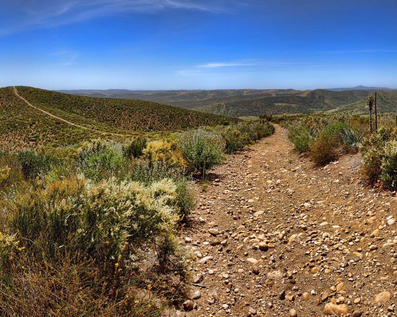 Каменистая дорога в пустыне