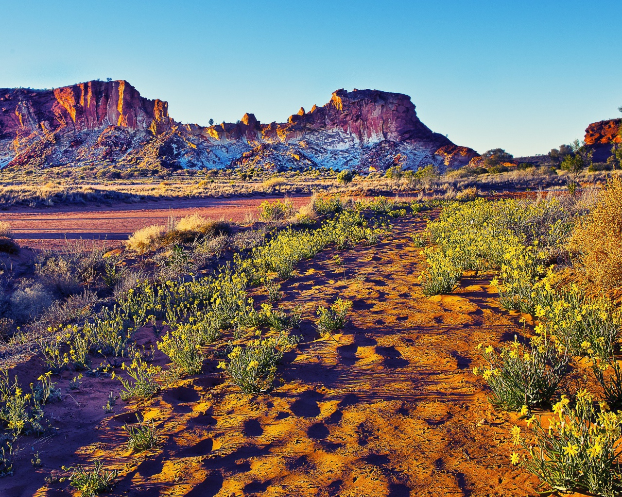 Закат в пустыне