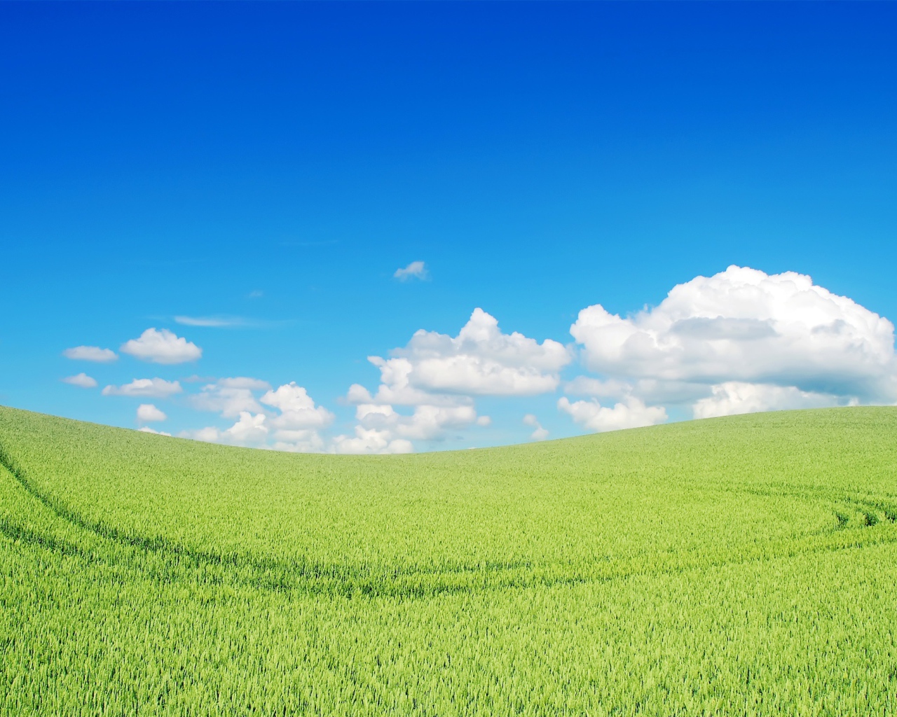 Прекрасный зеленый пейзаж