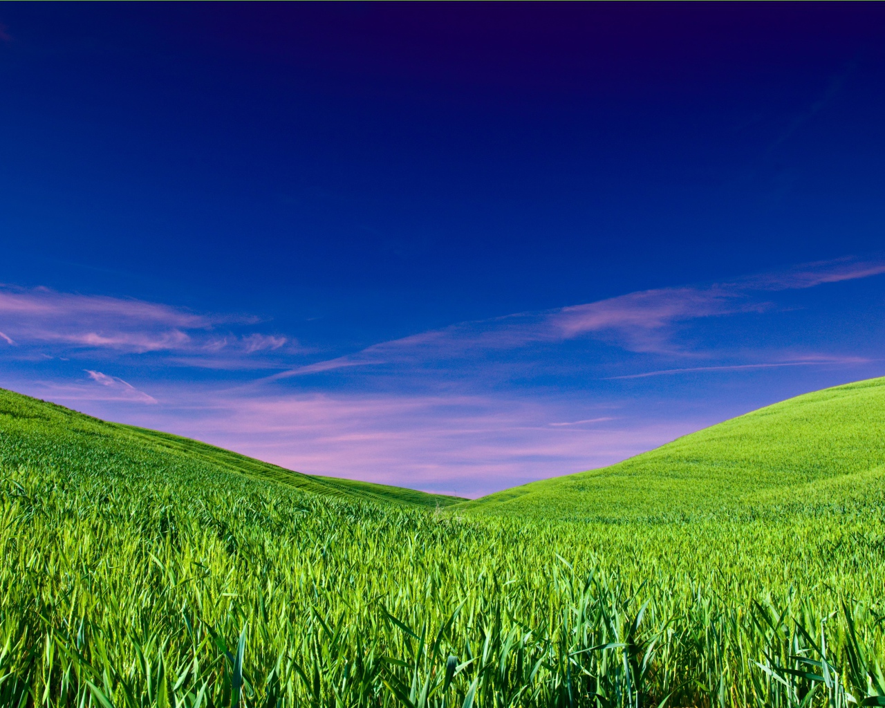 Чистое небо над полем