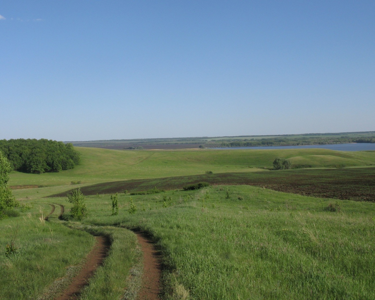 Поле и река