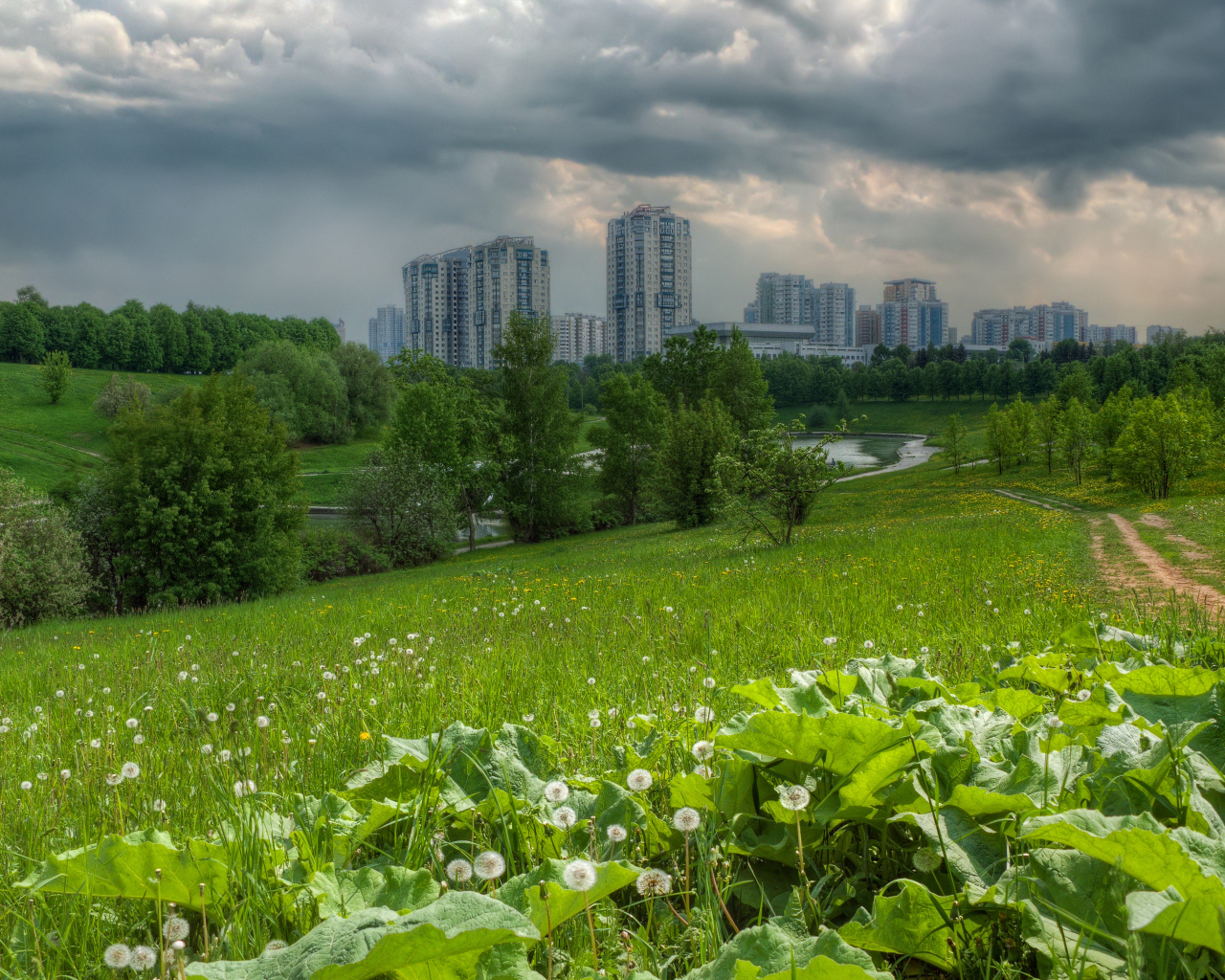 Поле на окраине города