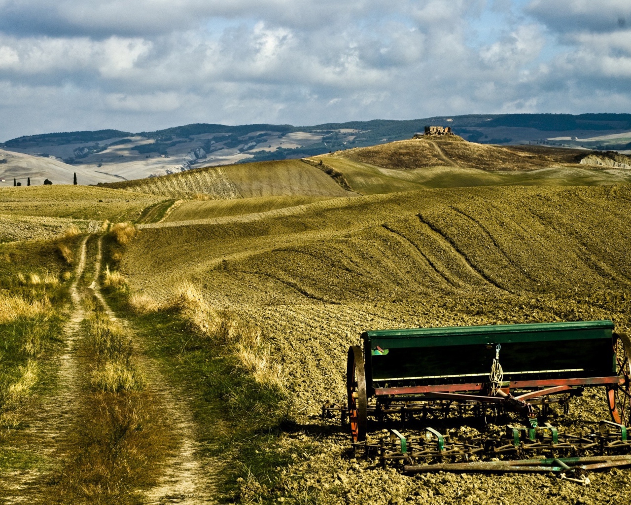 Засеянное поле весной