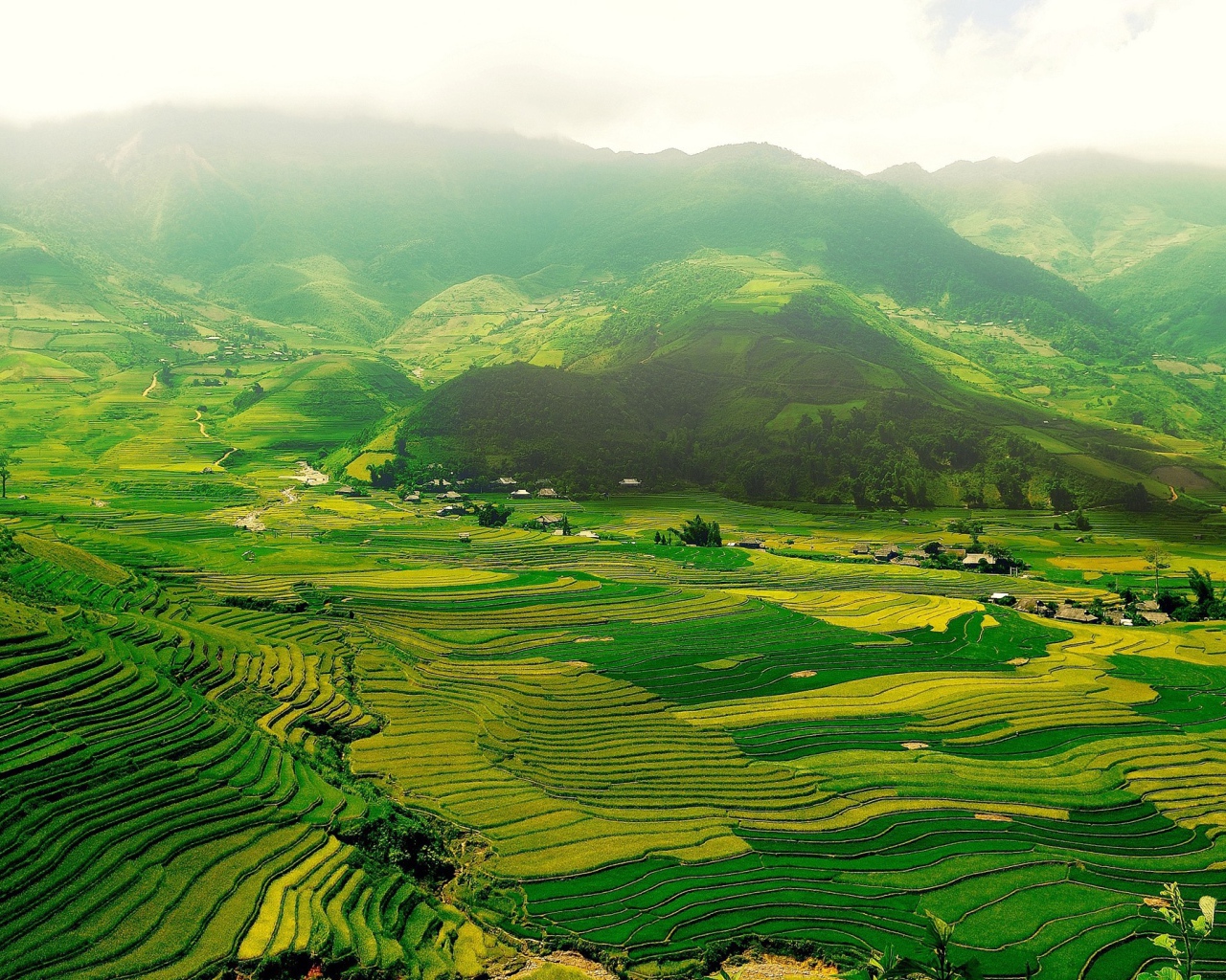 Зеленые поля в горной долине