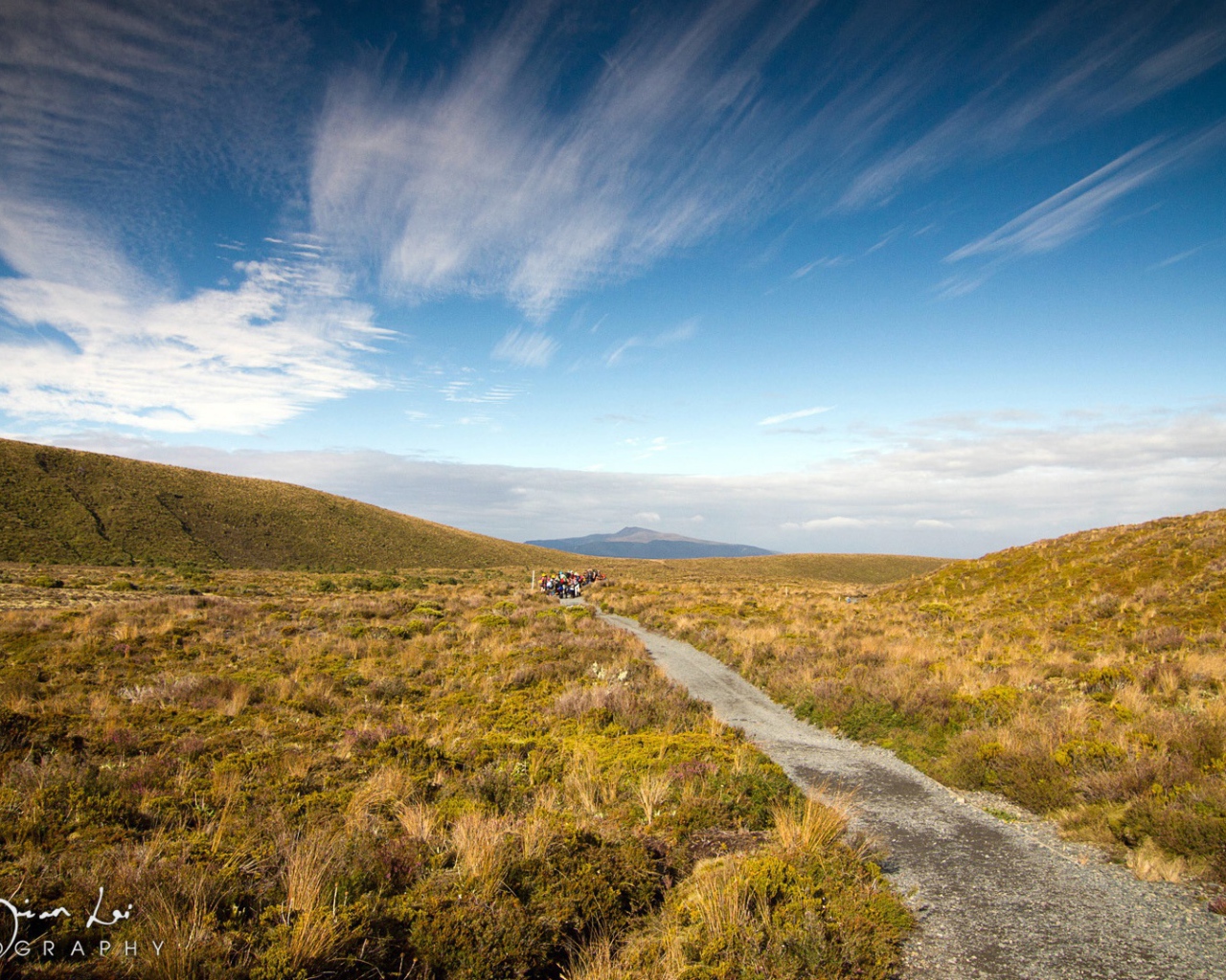 Пейзаж в Новой Зеландии
