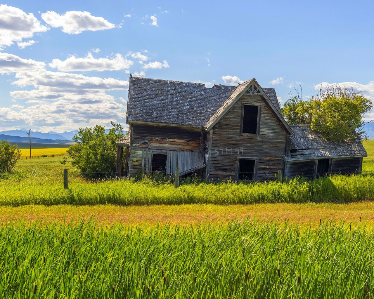 Старый дом в поле