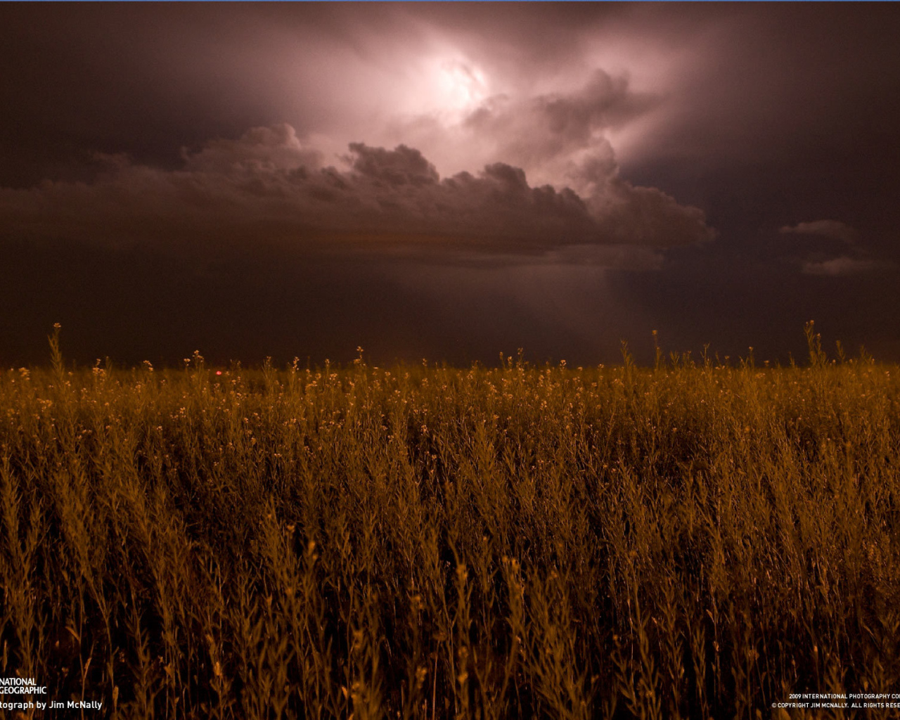 На поле надвигается гроза