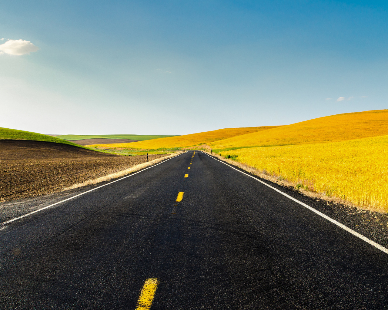 Дорога и жёлтые поля